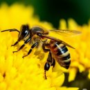 태백장성게스트하우스 이미지