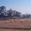 미비마을회관 이미지