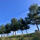 안목할인마트 이미지