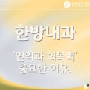 경희새힘한의원 | 과천 경희봄한의원, 한의사가 말하는 면역과 회복력 <한약>