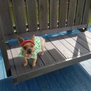 강변. 조각공원길 | 김천 강변조각공원-반려견과 산책하기 좋은 장소