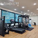 메디핏 이미지