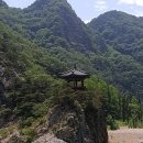 한반도 행정사 사무소 이미지