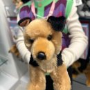 토마스의원 | [미국] 만 6세 아이와 둘만의 워싱턴 여행 후기 #1편(9박 10일)