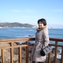 바람불어좋은날 이미지