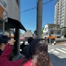 전주 빵집 추천 전주 맘모스빵 떠먹케가 유명한 뭉실베이커리 내돈내산 후기❣️