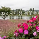 (05/30) 화요일 꽃들의 향연 ‘자라섬 봄꽃 축제갑니다~!! 이미지