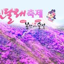 진달래빌딩 이미지