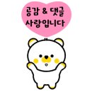 서희엘이디조명전기 이미지