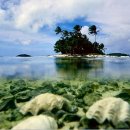 파라다이스 이미지