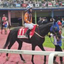 명선목장 이미지