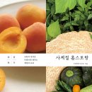 사계절집밥 이미지