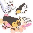미니메추리 네이버블로그