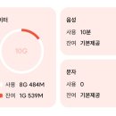 프리티멍 | [일상] 무제한 시대에 강제 데이터 아껴쓰기(프리티, 후기)