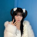 멥시 Daum카페