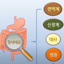 항암 치료 효과를 높이는데 도움되는 장내 효소 건강 관리 ​ 이미지