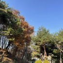 삼년산성송어장