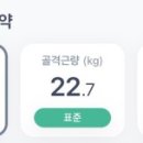 채니 이미지