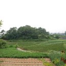 성미 경로당 이미지