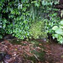 토산1리 이미지