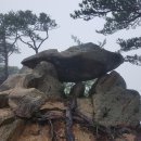 제340차- 단양 도락산(964m)-정기산행 이미지