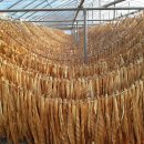 민하마을 이미지