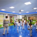 용인대 수영 태권도장 이미지