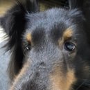 꿈나라공원 내 이미지