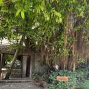 풍차 빌리지 이미지