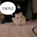 네일리스트 네일