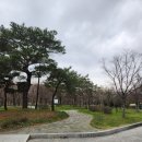 양재천(서초구) | 양재천(서초구)_3월 말 방문 후기, 양재천 벚꽃 등 축제