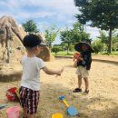 운정건강공원 이미지