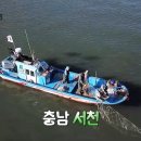 어부건어물 이미지
