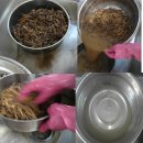 약수정한의원 이미지