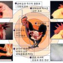 강원소독 이미지