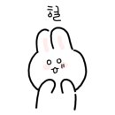 반듯한 멍이 이미지