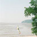 신은다방 이미지