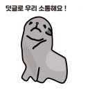인스타즈 이미지