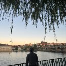 유럽 문화 산책 | 동유럽 신혼여행 2일차 자유여행 / 체코 프라하 새벽 산책 추천..! / 프라하 스냅 촬영 / 하벨 시장...