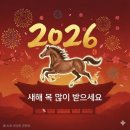 솔라공인중개사사무소 이미지