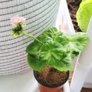 봉우농장 이미지