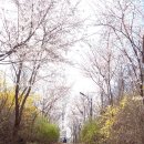 계남근린공원 이미지