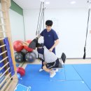 바른성모정형외과의원 이미지