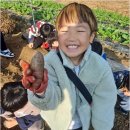 용인대 효예 태권도장 | 오전동태권도장에서 배우는 인성과 건강, 두 마리 토끼 잡기!