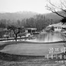 드림투비전 이미지
