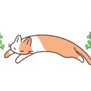 다이소부평시장역점