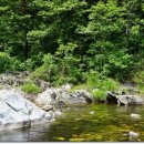 법수치계곡 펜션 꿈꾸는 숲 이미지