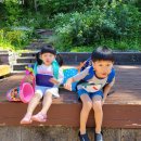 레드디어 이미지