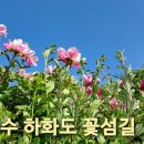 하화도 꽃섬길 이미지