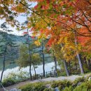 함안어탕 이미지